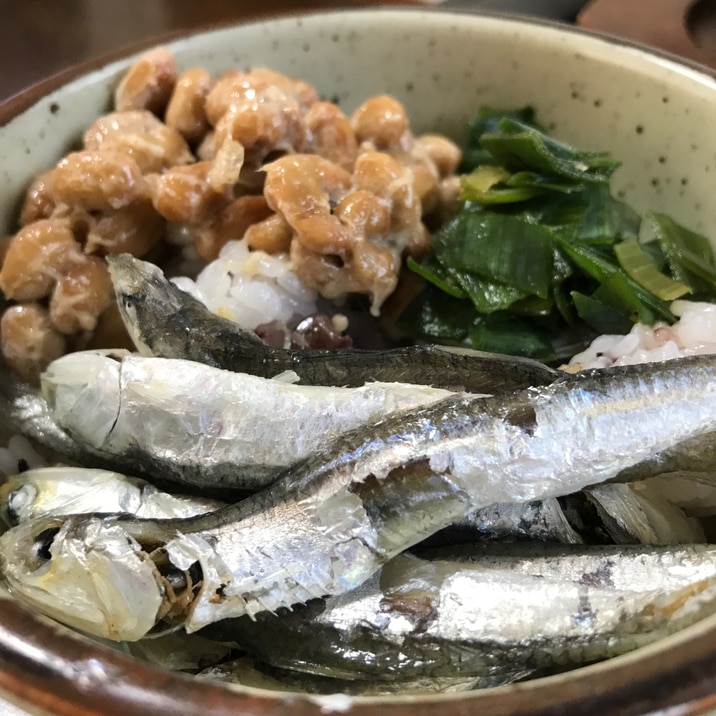 煮干し、納豆、ネギの三色丼